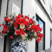 ПРО Екатеринбург :: Елена Шаламова