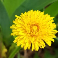 ,,, :: Сергей Тимоновский