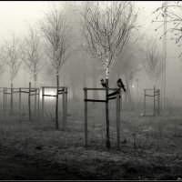...послал бы кто кусочек сыра.... :: Aleksandr Gal