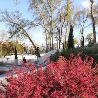 Набережная реки Сочи :: Tata Wolf