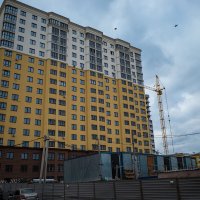 Рядом со стройкой :: Александр Синдерёв