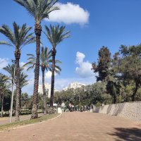 Мы сегодня опять в нашем парке :: Светлана Хращевская