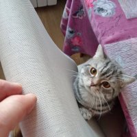 На старт... :: Павел Трунцев