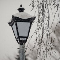 *** :: Николай Чекалин