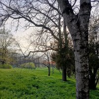 Апрель :: Вилена 