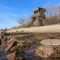 Западный Котлин :: skijumper Иванов