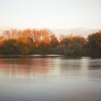 *** :: Яна Горбунова