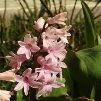 вксна :: ИННА ПОРОХОВА