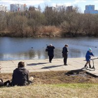 На берегу пруда :: Наталья Герасимова