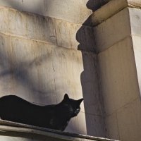 Главный смотритель Театра Луначарского . :: Giant Tao /