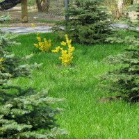 Пришельцы :: Сеня Белгородский