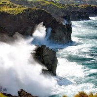 Magic Azores 41 :: Arturs Ancans