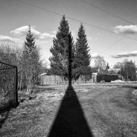 Низкое солнце :: Владимир Нефедов