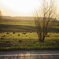 На рассвете :: Джованни Луче