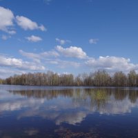 весеннее озеро :: Сергей Швечков
