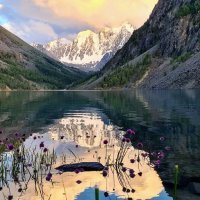 Шавлинское :: Виктор Фоменко