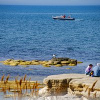 Берег Каспия :: Анатолий Чикчирный
