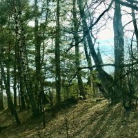 Просто зарисовка) :: Альбина Просто зарисовка) :: Альбина