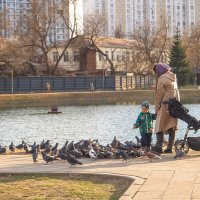 Люди и Птицы :: юрий поляков Люди и Птицы :: юрий поляков