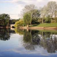 ***** :: Андроник Александр 