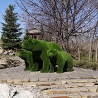 Медведи проснулись :: Наталия Григорьева