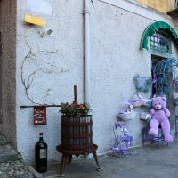 цвет лаванды :: Светлана Баталий цвет лаванды :: Светлана Баталий