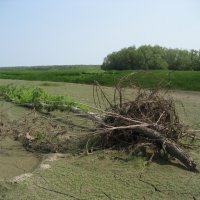 На острове :: Anna Ivanova На острове :: Anna Ivanova