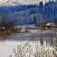 Половодье :: Виктор Садырин
