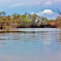 Апрель на Хопре. :: Восковых Анна Васильевна 