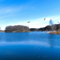 Смоленская область после снегопада (репортаж из поездок по области). :: Милешкин Владимир Алексеевич 