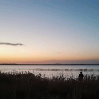 Степное озеро :: Георгиевич 