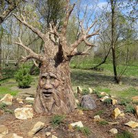 В сказочном лесу :: Сеня Белгородский В сказочном лесу :: Сеня Белгородский