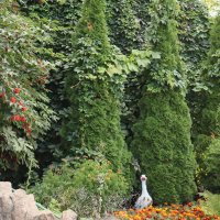 Фонтанчик :: Дмитрий Петров