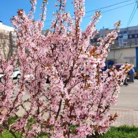 ... :: Сергей Тимоновский