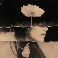 *** :: Евгений Нодвиков