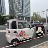 Весна в Китае :: Ирэн 