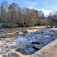 Красавица река. :: Лия ☼ Красавица река. :: Лия ☼