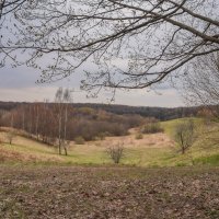 Апрель в Царицыно... :: Владимир Жданов