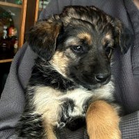 В надёжных руках. :: nadyasilyuk Вознюк В надёжных руках. :: nadyasilyuk Вознюк