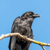 Разминочка :: Дарья Меркулова