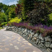 Парк Галицкого. Краснодар :: Андрей Lyz