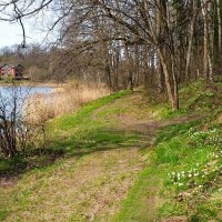 Тепло вернулось на Смоленщину. :: Милешкин Владимир Алексеевич 