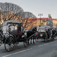 Дорожные пробки в Питере :: Игорь Корф