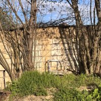 Весенний трон :: ___K_O_T___ <3