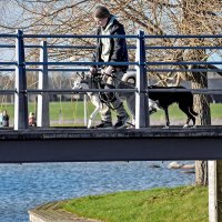 Зато на свидании никто не обидет :: Alexandеr P