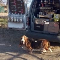 *** :: Валентина Береснева