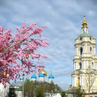 Новоспасский монастырь :: Лютый Дровосек