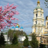 Новоспасский монастырь :: Лютый Дровосек