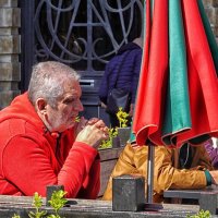 Красное... :: Elena Ророva