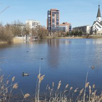 Пулковский парк :: Наталья Герасимова